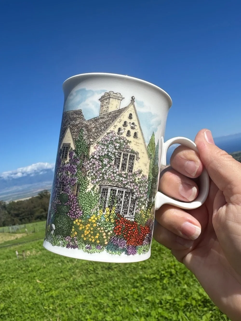 Dunoon Village Greens Fine China Coffee Tea Mug Sue Scullard England Cottage